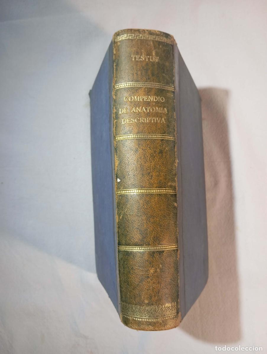 Antiquarische B&uuml;cher: Testut Compendio Anatom&iacute;a Descriptiva Salvat 1922 Und&eacute;cima Edici&oacute;n Encuadernaci&oacute;n Valladolid