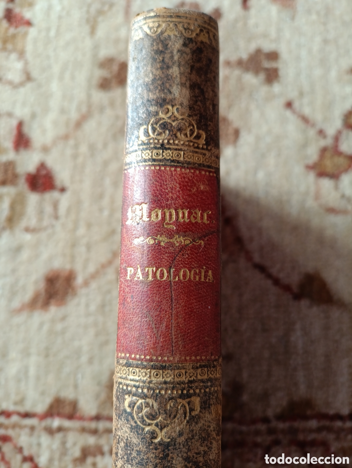Libros antiguos: Moynac &ndash; Manual de Patolog&iacute;a y Cl&iacute;nica M&eacute;dicas (1876)
