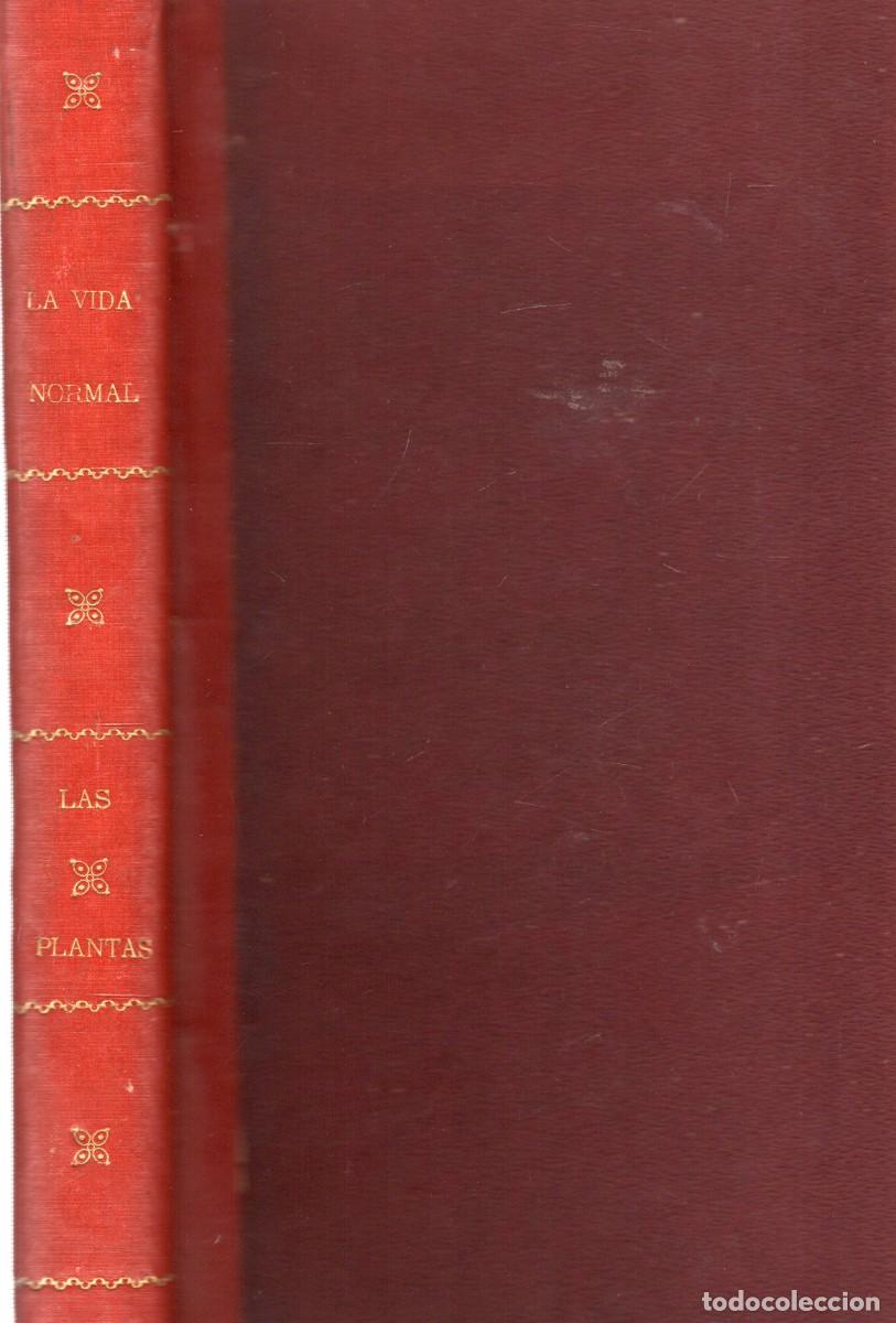 Libros antiguos: LA VIDA NORMAL Y LA SALUD. DOCTOR J. RENGADE A-MEDI-1337