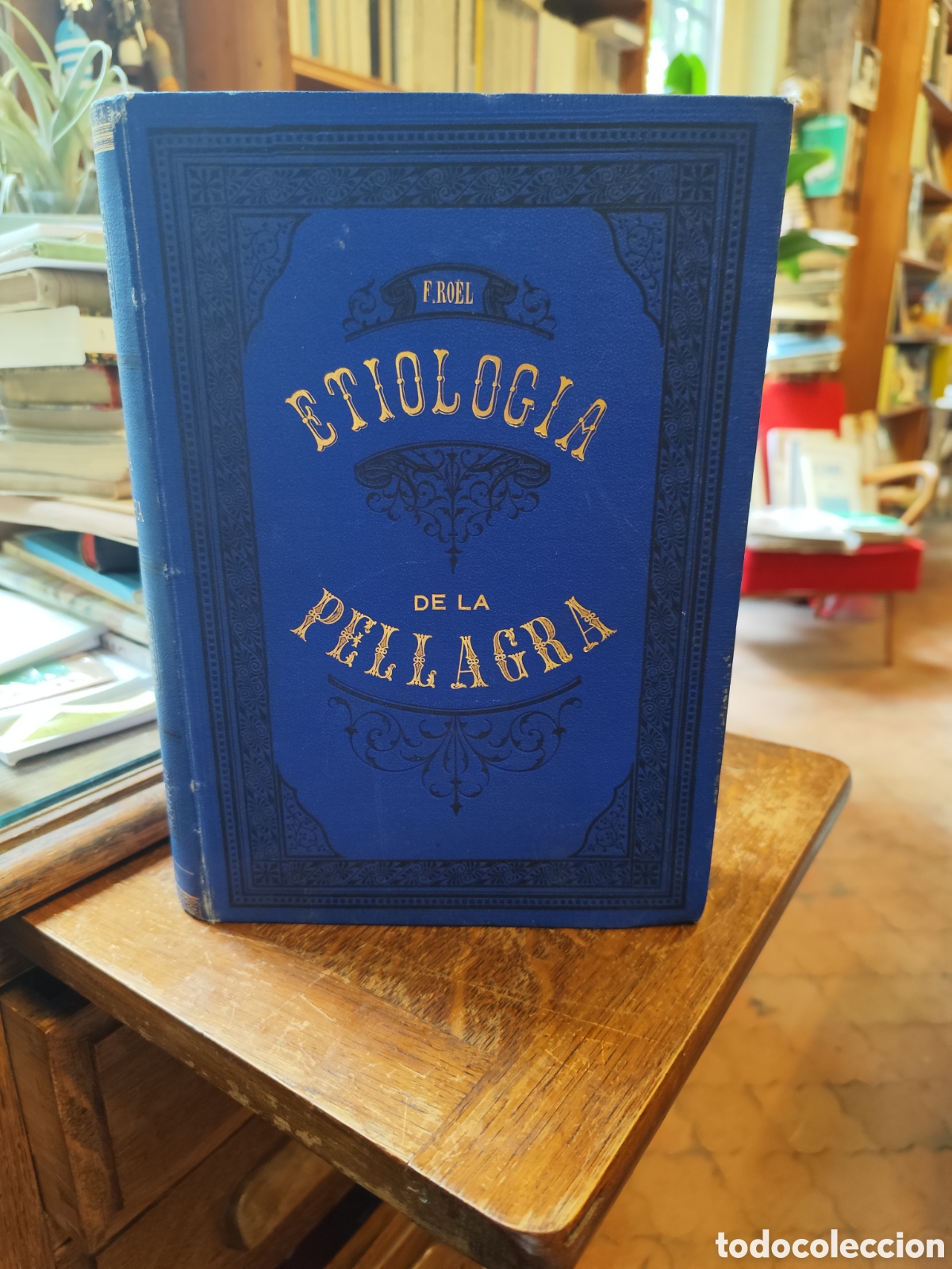 Libros antiguos: Etiolog&iacute;a de la Pellagra Faustino Roel 1880