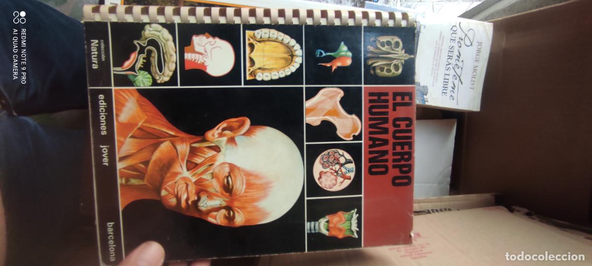 Libros antiguos: EL CUERPO HUMANO JOVER COLECCION NATURA LAMINAS ATLAS
