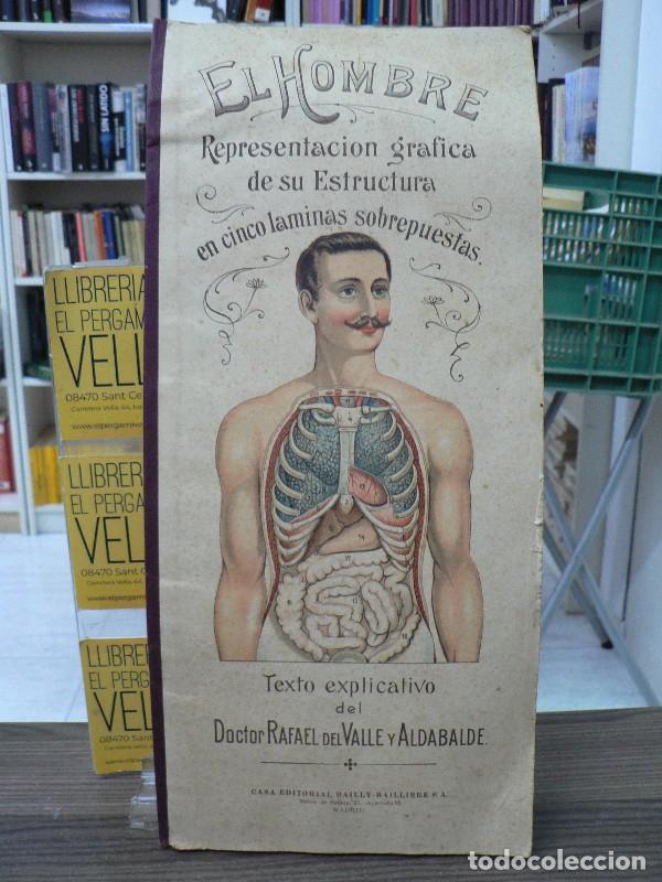 Libros antiguos: El Hombre: representaci&oacute;n gr&aacute;fica de su estructura en cinco l&aacute;minas superpuestas - R. del Valle y Al