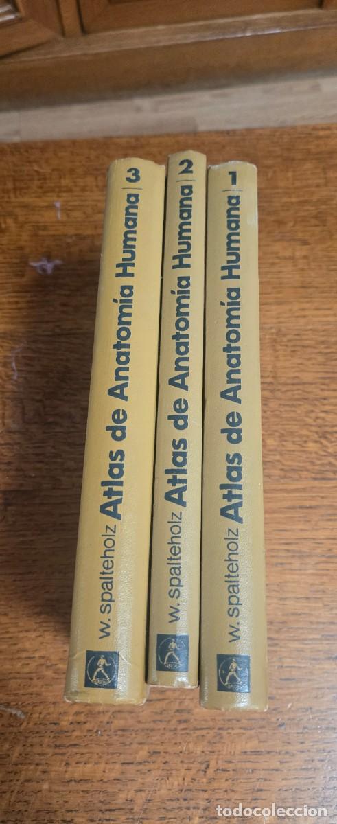 Libros antiguos: Atlas de Anatom&iacute;a Humana &ndash; Werner Spalteholz