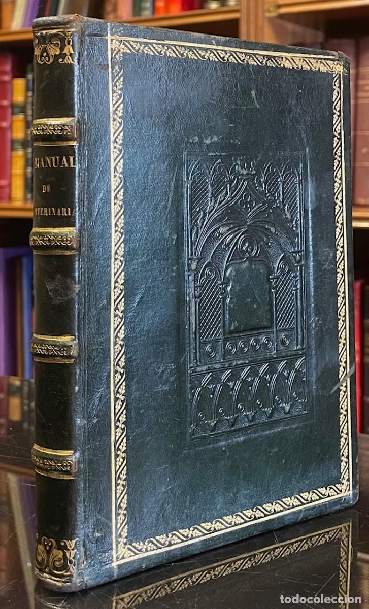 Libros antiguos: Manual de Veterinaria. Conocimientos indispensables del Exterior del Caballo y sus Enfermedades