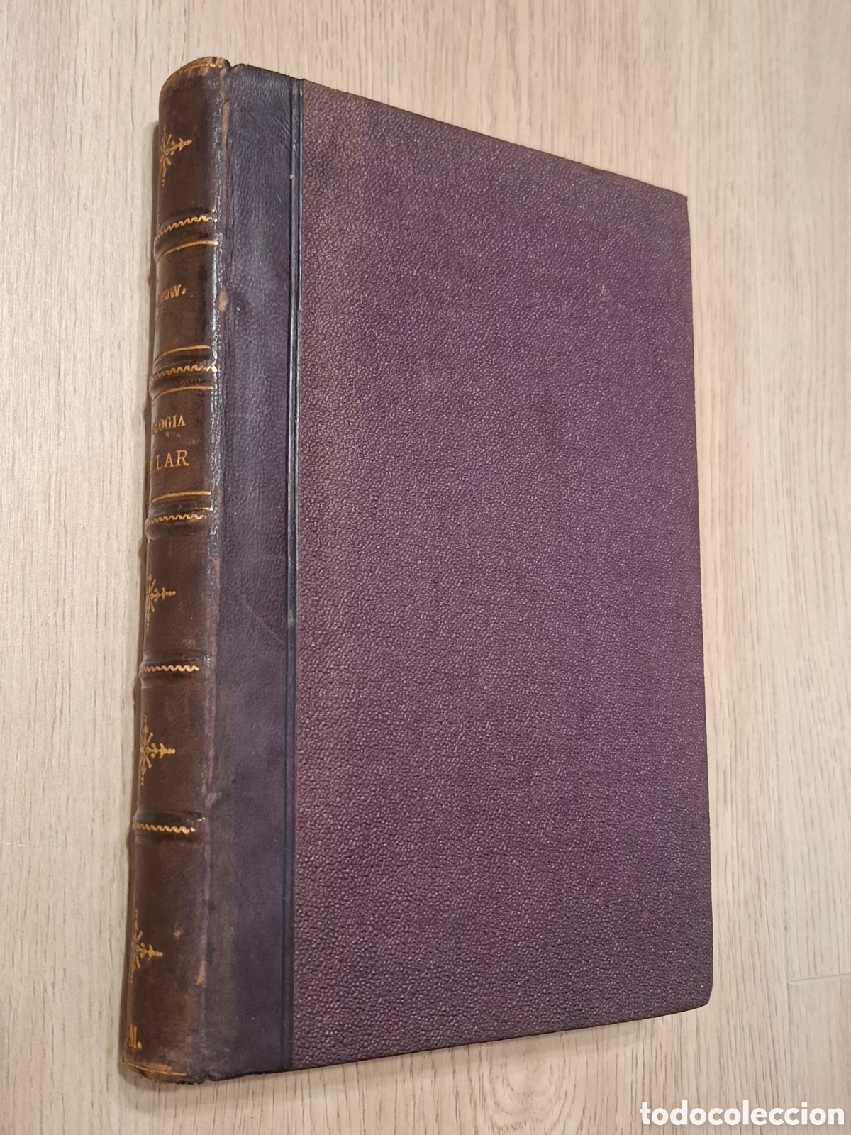 Libros antiguos: Patolog&iacute;a celular basada en el estudio fisiol&oacute;gico y patol&oacute;gico de los tejidos, Rodolfo Virchow 1878