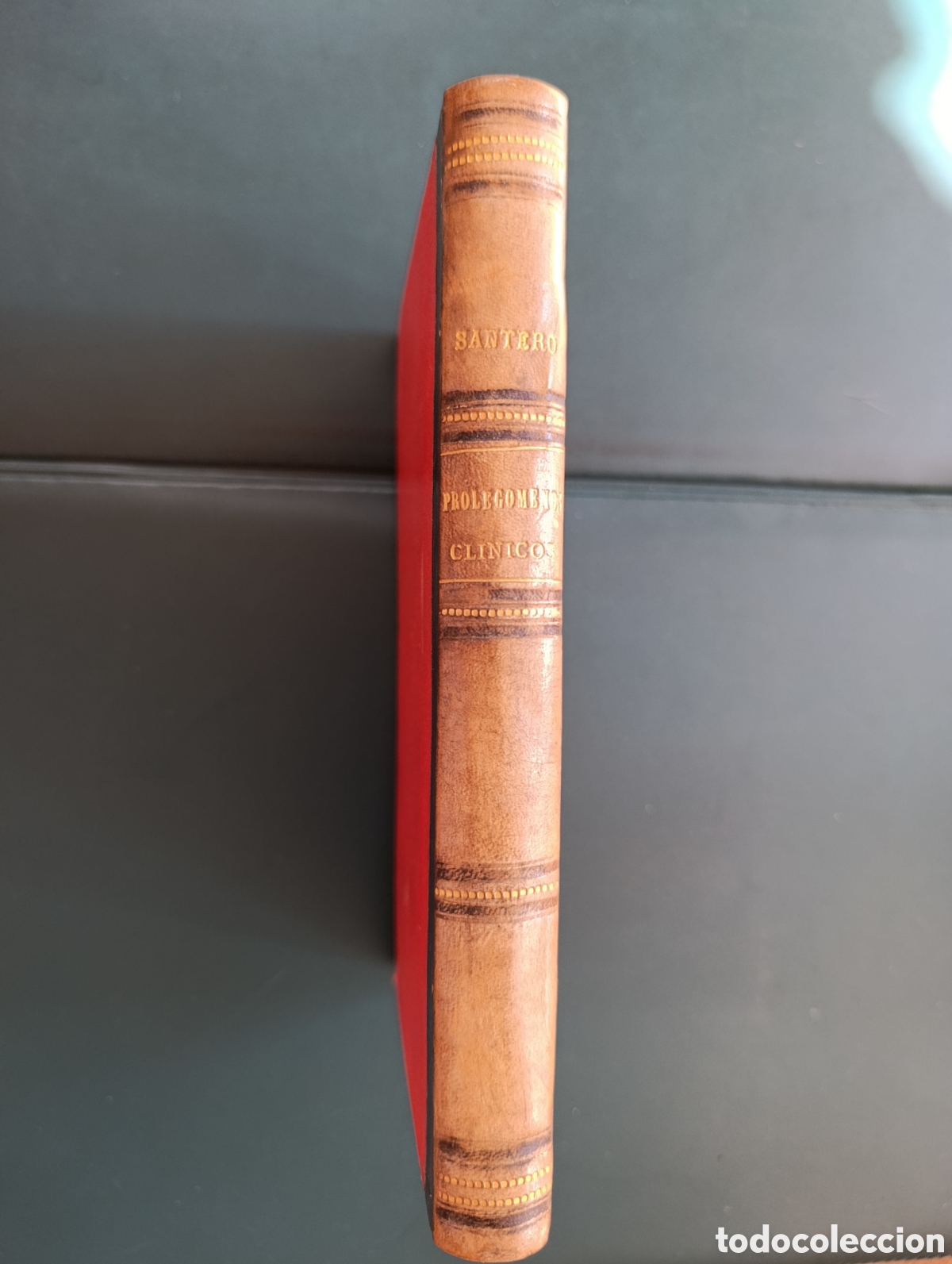 Libros antiguos: PROLEG&Oacute;MENOS CL&Iacute;NICOS &ndash; TOM&Aacute;S SANTERO Y MORENO &ndash; 2.&ordf; EDICI&Oacute;N &ndash; MADRID 1883