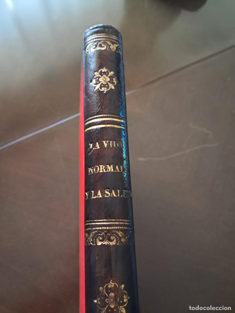 Antiquarische B&uuml;cher: 1886. LA VIDA NORMAL Y LA SALUD - DR. J. RENGADE - EDITORIAL MONTANER Y SIM&Oacute;N