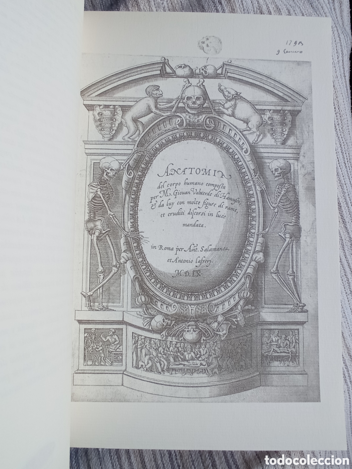 Libros antiguos: JUAN VALVERDE DE AMUSCO. ANATOMIA DEL CORPO HUMANO (ED. ITALIANA, 1560).