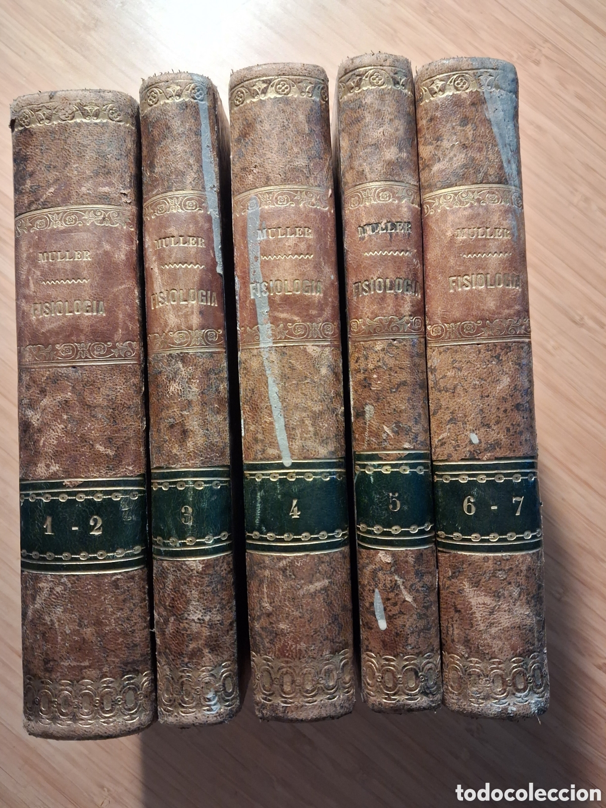 Libros antiguos: Tratado de fisiolog&iacute;a, 7 tomos en 5 volumenes - J. Muller (Ignacio Boix 1846)