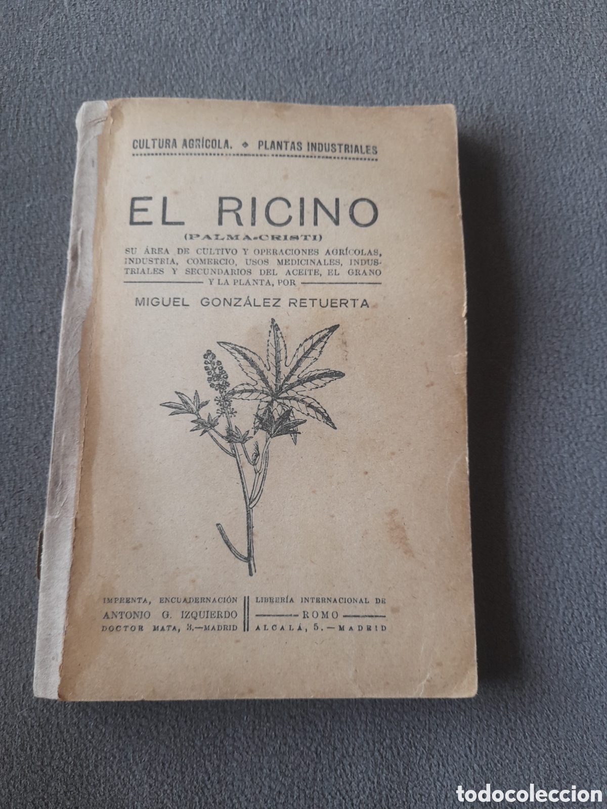 Libros antiguos: Libro antiguo raro sin fechar el ricino por Miguel Gonz&aacute;lez Retuerta