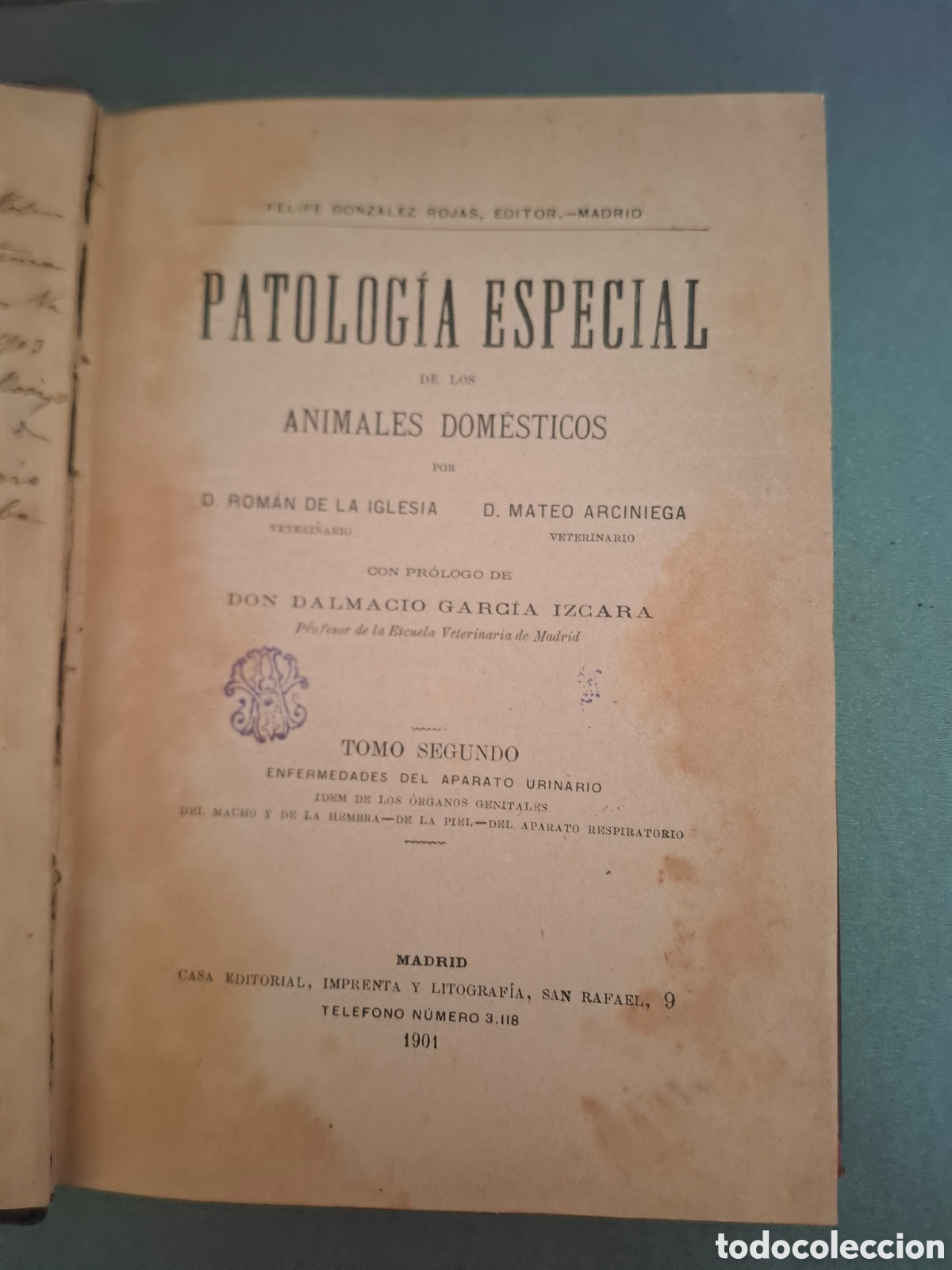 Libros antiguos: Patologia especial de los animales dom&eacute;sticos - Rom&aacute;n de la Iglesia y Mateo Arciniega - 1901-Tomo II