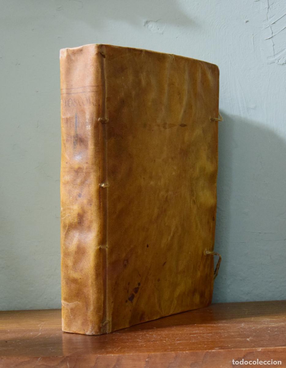 Libros antiguos: PEDACIO DIOSCORIDES ANAZABEO ANOTADO POR EL DOCTOR ANDR&Eacute;S LAGUNA. TOMO SEGUNDO. 1733
