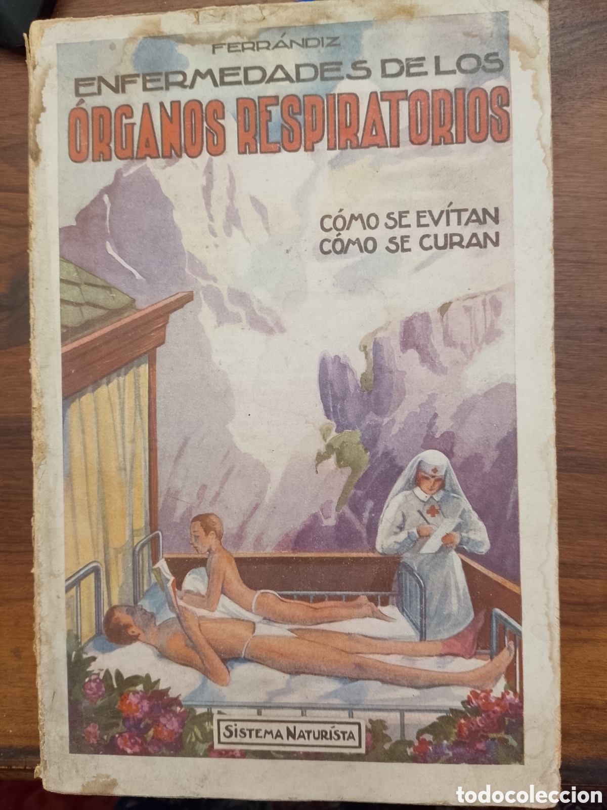 Libros antiguos: 1927. Enfermedades de los &Oacute;rganos Respiratorios. C&oacute;mo se evitan, c&oacute;mo se curan