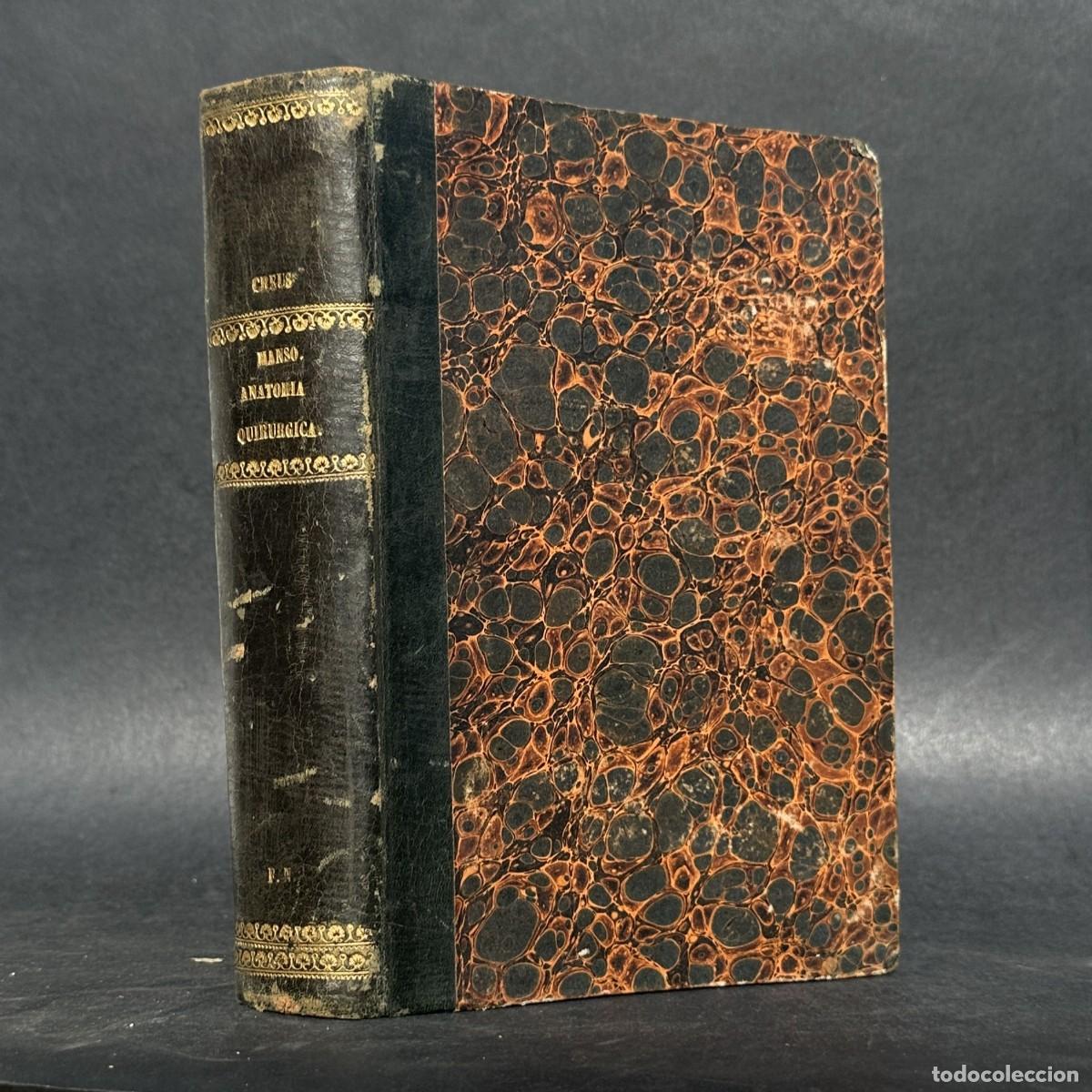 Libros antiguos: a&ntilde;o 1861 - TRATADO ELEMENTAL DE ANATOMIA QUIRURGICA - CIRUGIA - MEDICINA -