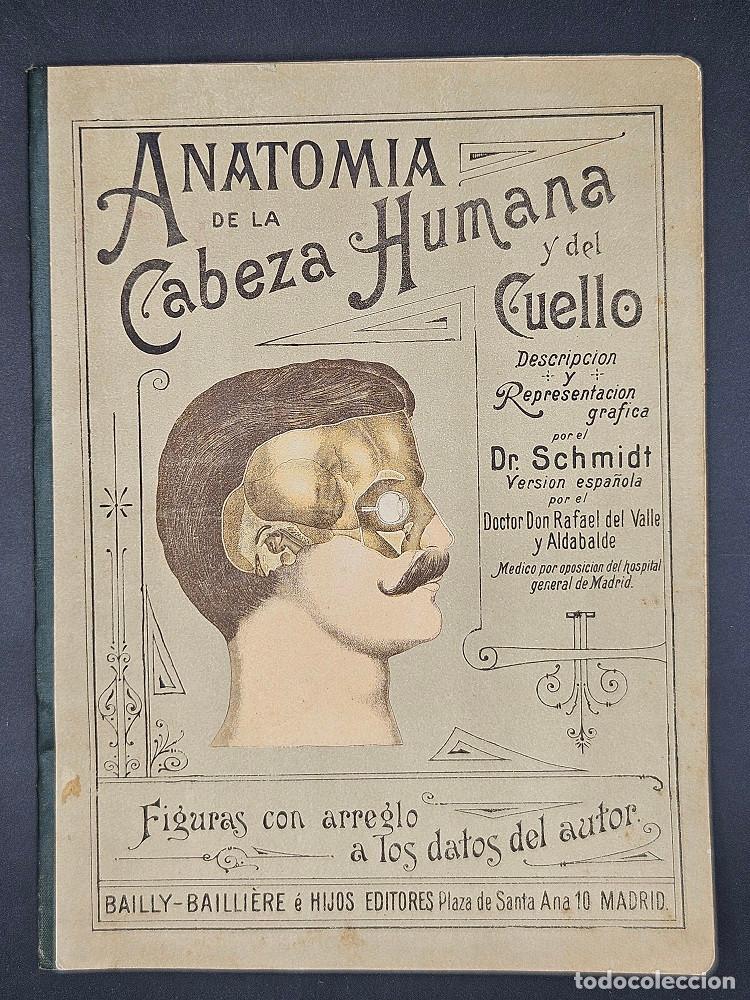 Libros antiguos: Anatomia de la Cabeza Humana y del Cuello