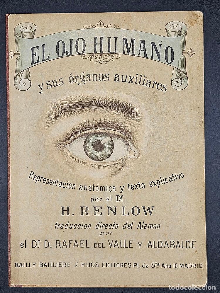 Libros antiguos: El ojo humano y sus &oacute;rganos auxiliares