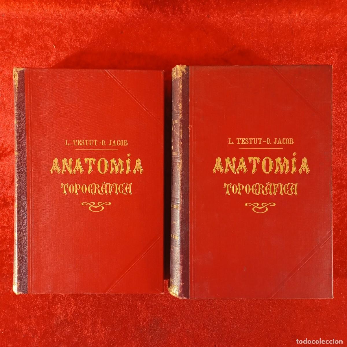 Libros antiguos: ANATOM&Iacute;A TOPOGR&Aacute;FICA - L. TESTUT - O. JACOB - 2 TOMOS - SALVAT EDITORES - 1926 / 6692