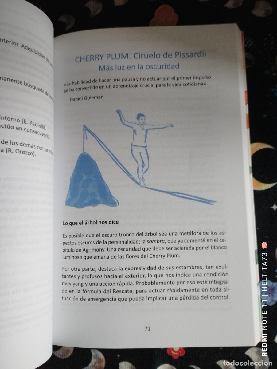 Libros antiguos: Flores de Bach. El Poder de la Espiritualidad, 2025 - Foto 5