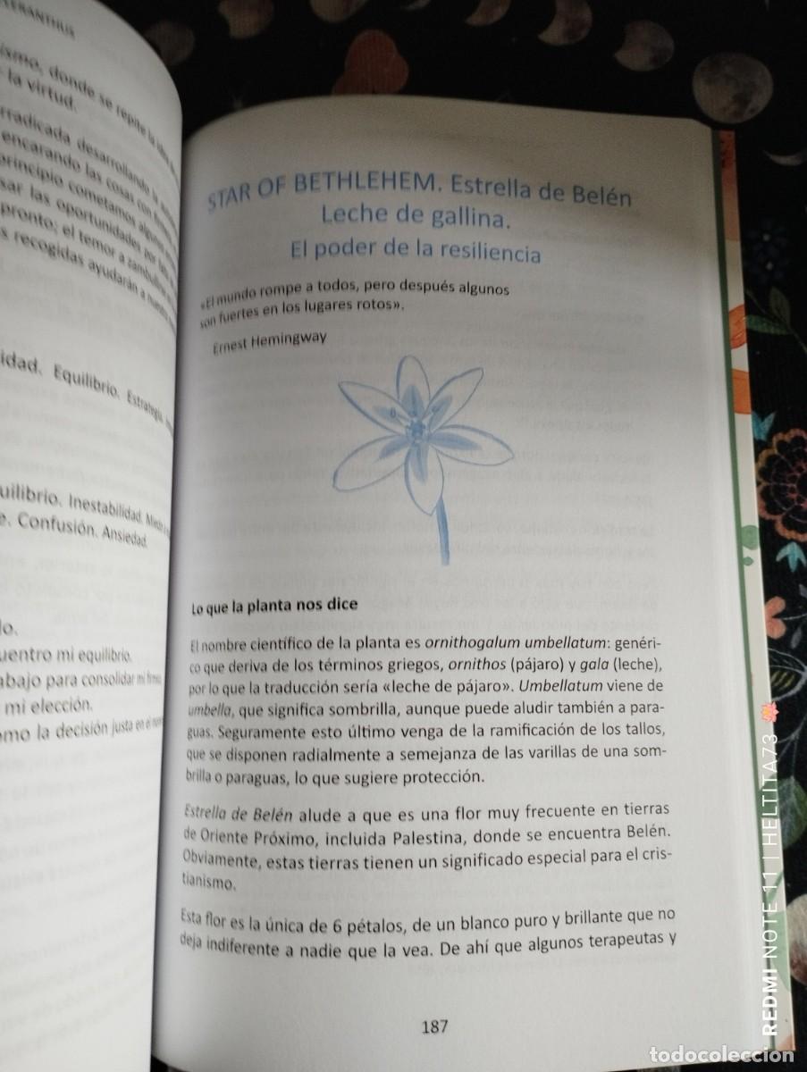 Libros antiguos: Flores de Bach. El Poder de la Espiritualidad, 2025 - Foto 8