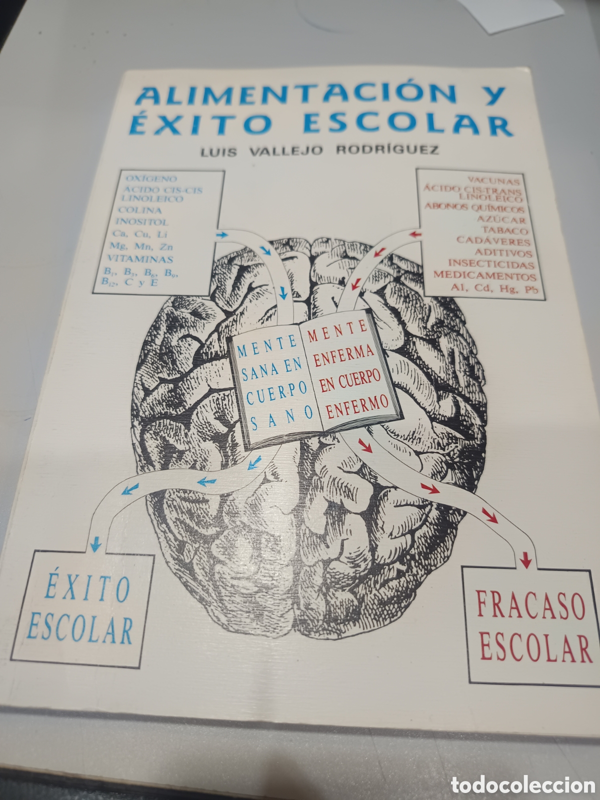 Libros antiguos: Alimentaci&oacute;n y &eacute;xito escolar. Luis Vallejo Rodr&iacute;guez