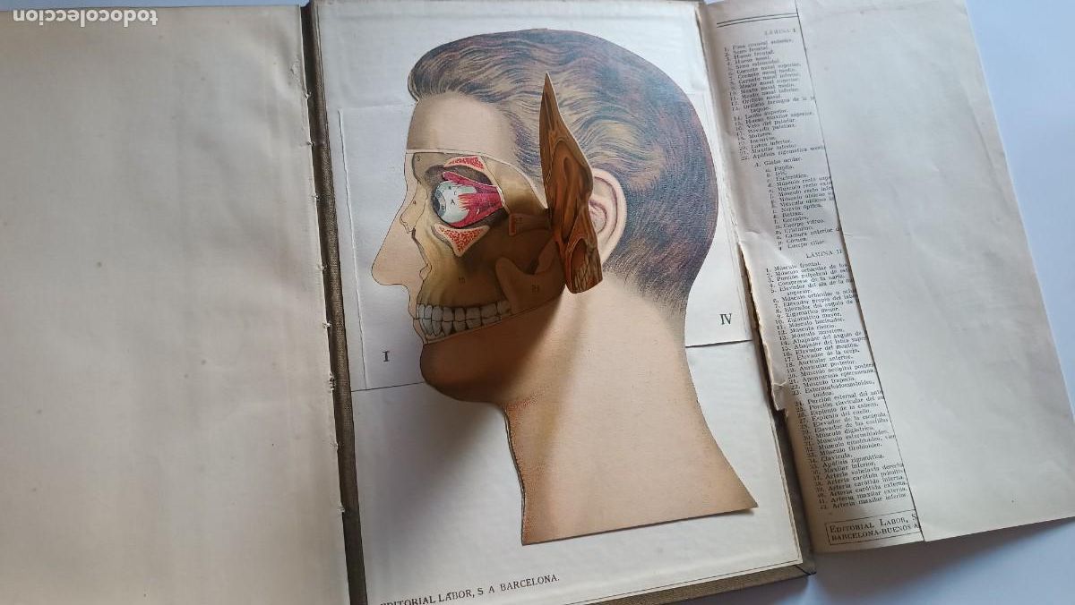 Libros antiguos: Antiguo libro espa&ntilde;ol de medicina con ilustraciones en color.