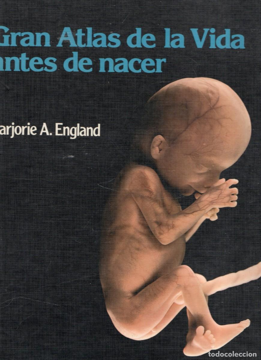 Livres anciens: GRAN ATLAS DE LA VIDA ANTES DE NACER. MARJORIE A. ENGLAND. A-MEDI-1789
