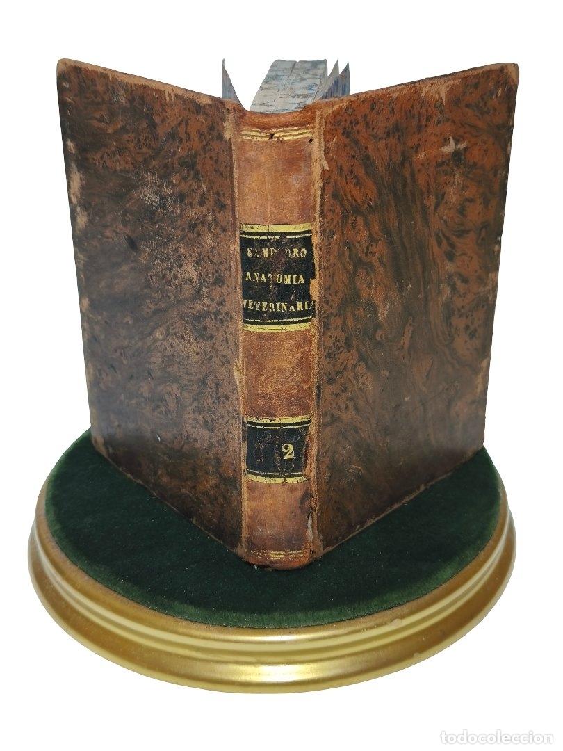 Libros antiguos: 1834.ELEMENTOS DE ANATOM&Iacute;A VETERINARIA GENERAL Y DESCRIPTIVA (TOMO II) - GUILLERMO SAMPEDRO (MADRID)