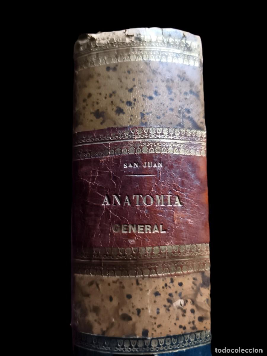 Libros antiguos: Aureliano Maestre de San Juan. Tratado Anatom&iacute;a 1872. Director de tesis de Cajal. Primera edici&oacute;n.