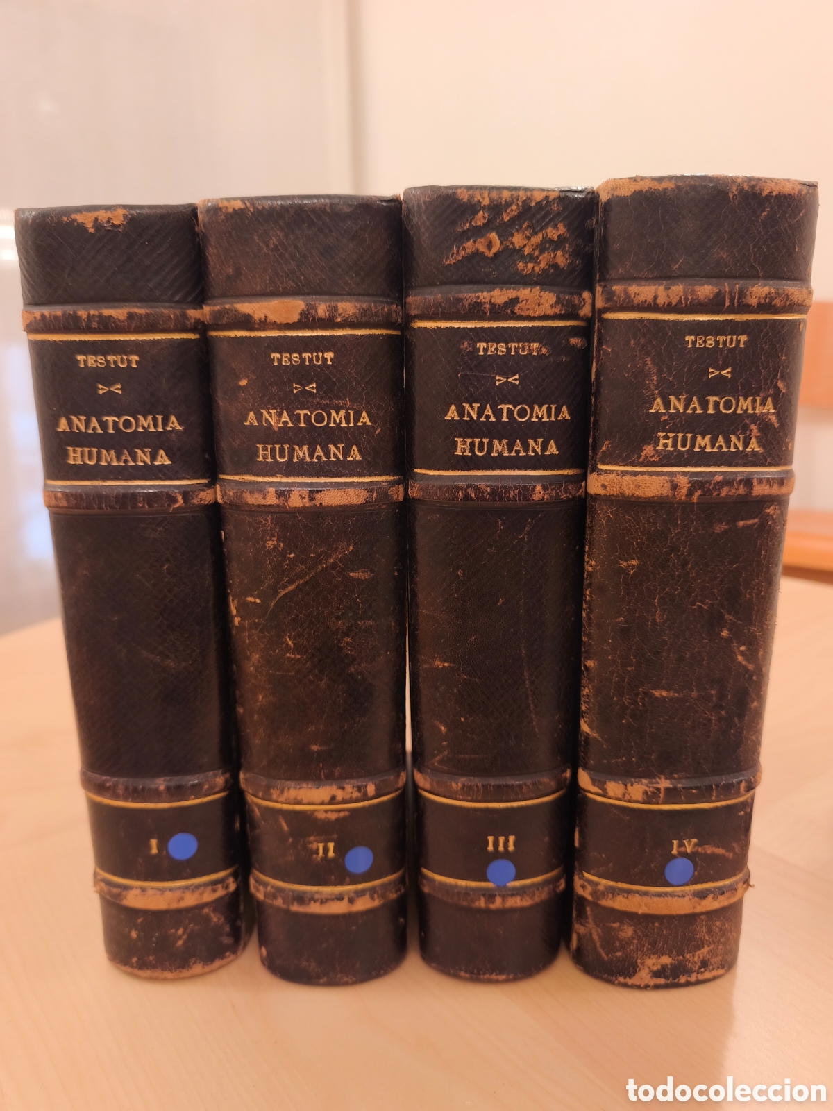 Libri antichi: Tratado de anatomia humana