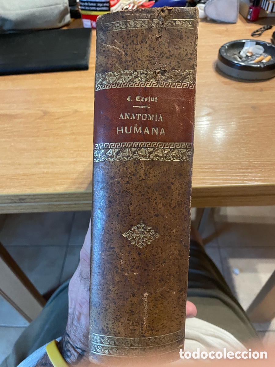 Old books: L. Testut &ndash; Tratado de Anatom&iacute;a Humana, tomo IV, 6.&ordf; edici&oacute;n &ndash; Salvat