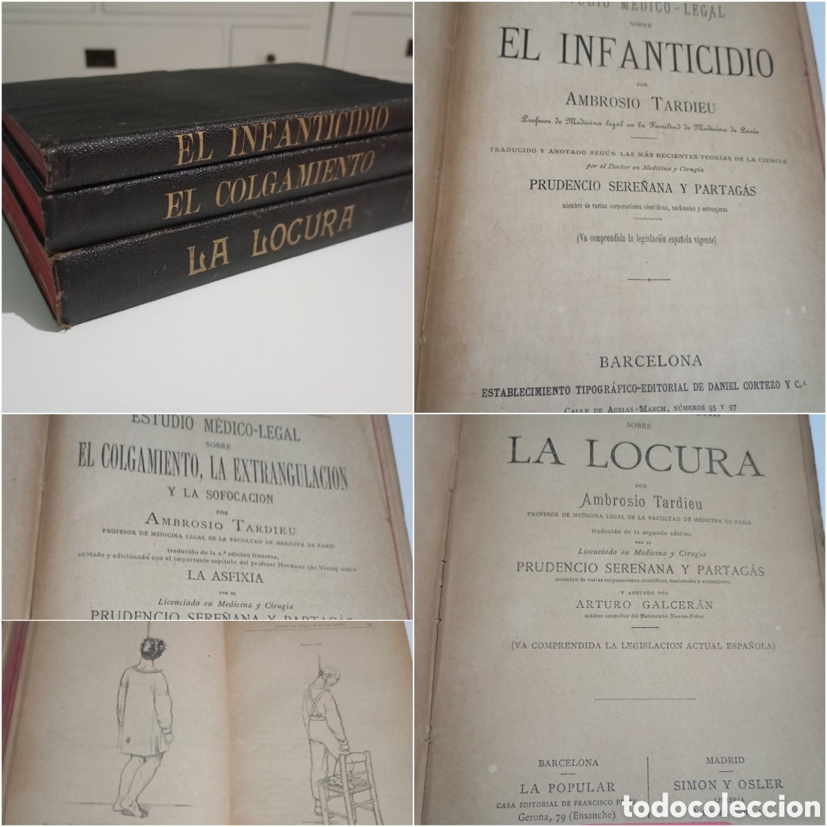 Libros antiguos: 1883 Estudio M&eacute;dico Legal Tardieu La Locura, Colgamiento Extrangulaci&oacute;n, Infanticidio # psiquiatr&iacute;a