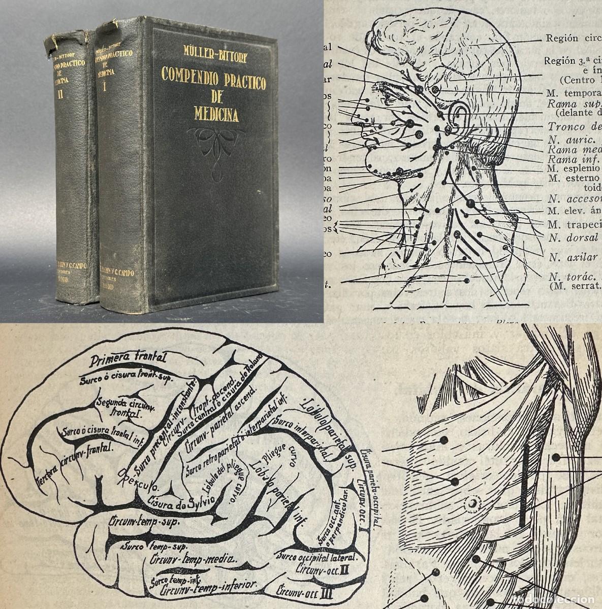 Old books: A&Ntilde;O 1934 - COMPENDIO PR&Aacute;CTICO DE MEDICINA - ILUSTRACIONES - SISTEMA NERVIOSO