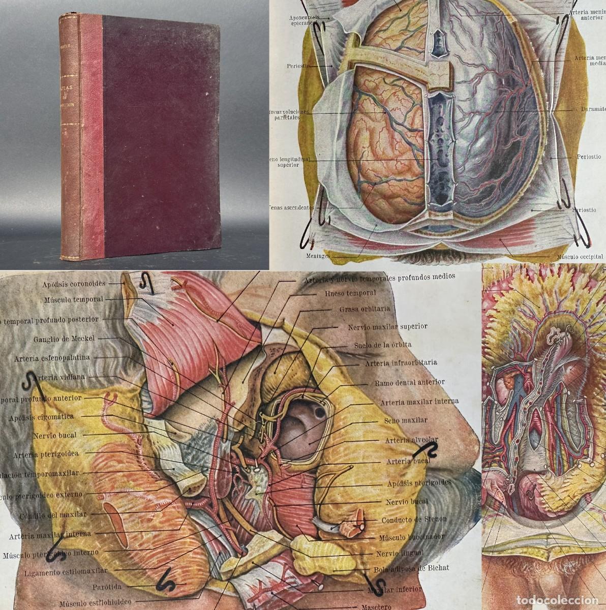Antiquarische B&uuml;cher: a&ntilde;o 1921 ATLAS DE DISECCION HUMANA - 1&ordf; EDICION - TESTUT - GRABADOS - MEDICINA