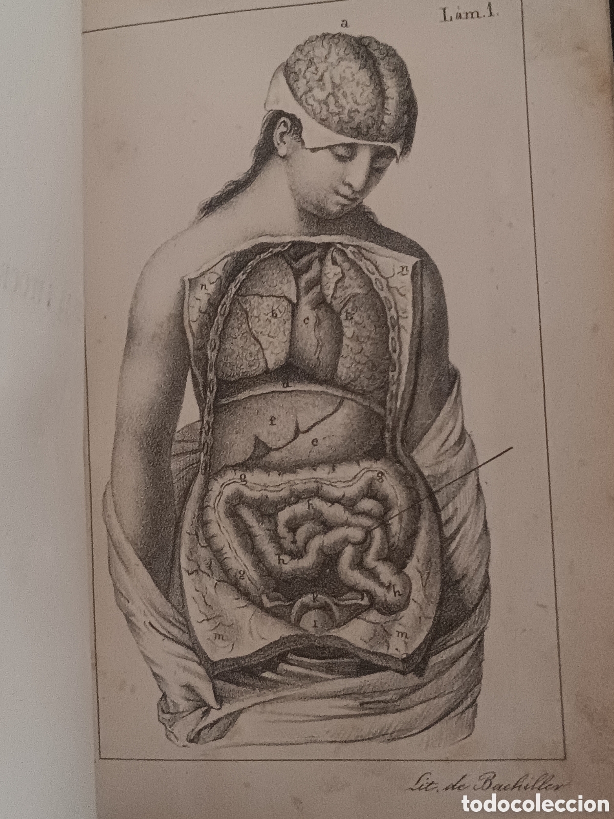 Livres anciens: J. HATIN: CURSO COMPLETO DE PARTOS Y ENFERMEDADES DE MUJERES Y NI&Ntilde;OS TOMO 1&ordm; 1840 L&Aacute;MINAS ANATOMICAS