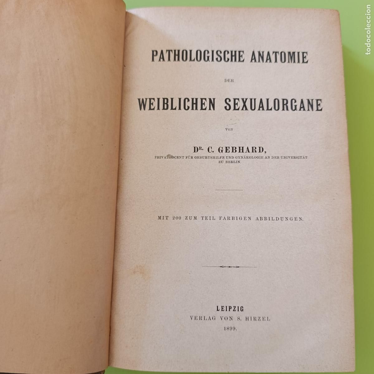 Libros antiguos: ANATOMIA PATOLOGICA SEXUAL. PATHOLOGISCHE ANATOMIE. C GEBHARD, 1899. EN ALEM&Aacute;N