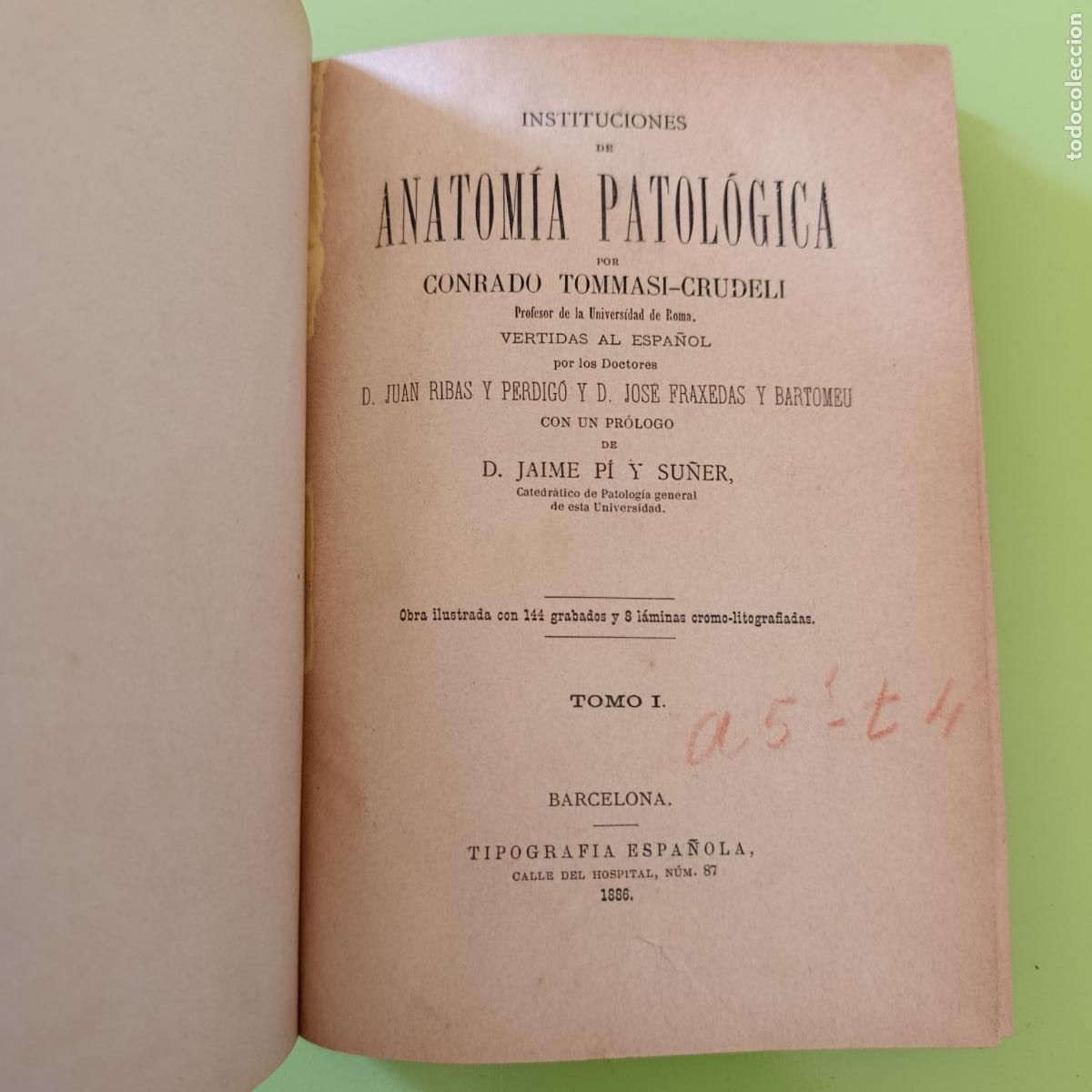 Libros antiguos: INSTITUCIONES DE ANATOM&Iacute;A PATOLOGICA, CONRADO TOMMASI-CRUDELI, 1886. TOMO I