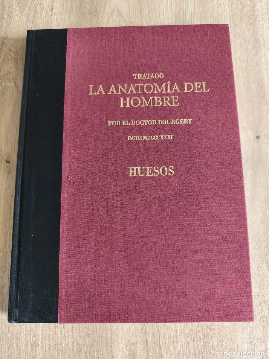 Libros antiguos: Tratado La anatom&iacute;a del hombre Huesos Dr. Bourgery