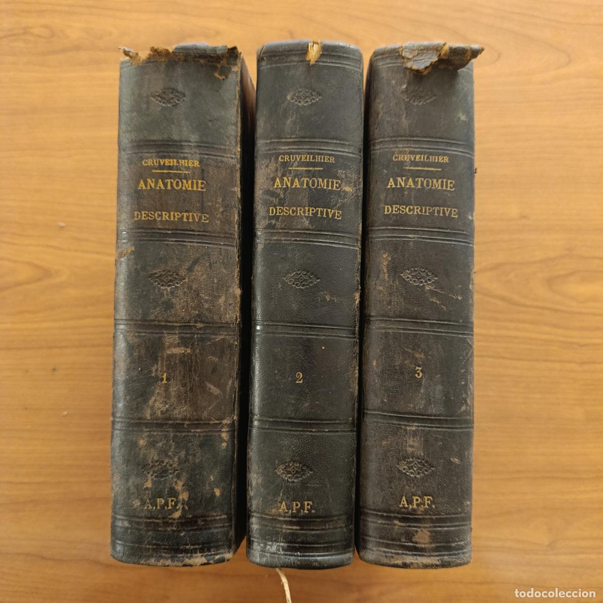 Libros antiguos: TRAITE D'ANATOMIE DESCRIPTIVE. CRUVEILHIER, 1877. 3 TOMOS. TRATADO DE ANATOMIA DESCRIPTIVA