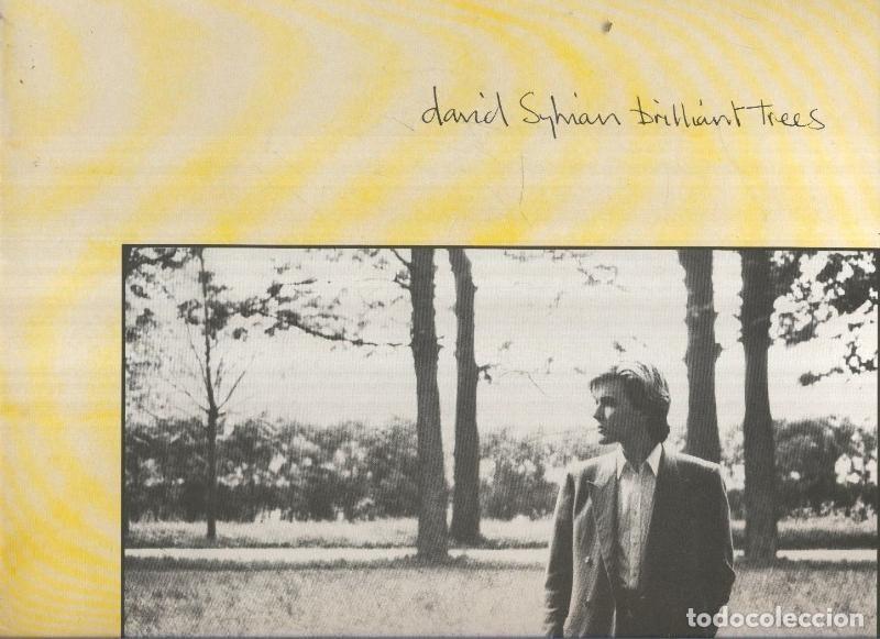 Libri antichi: DISCO LP: DAVID SYPHIAN: Brilliant Trees - David Syphian
