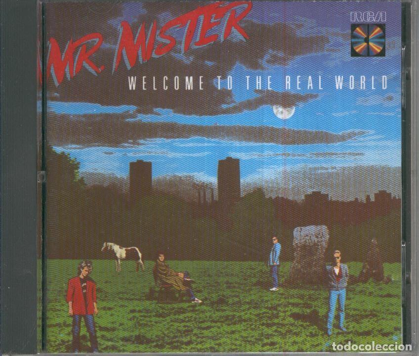 Libri antichi: CD Musica: MR MISTER - Welcome to the real World - Mr Mister