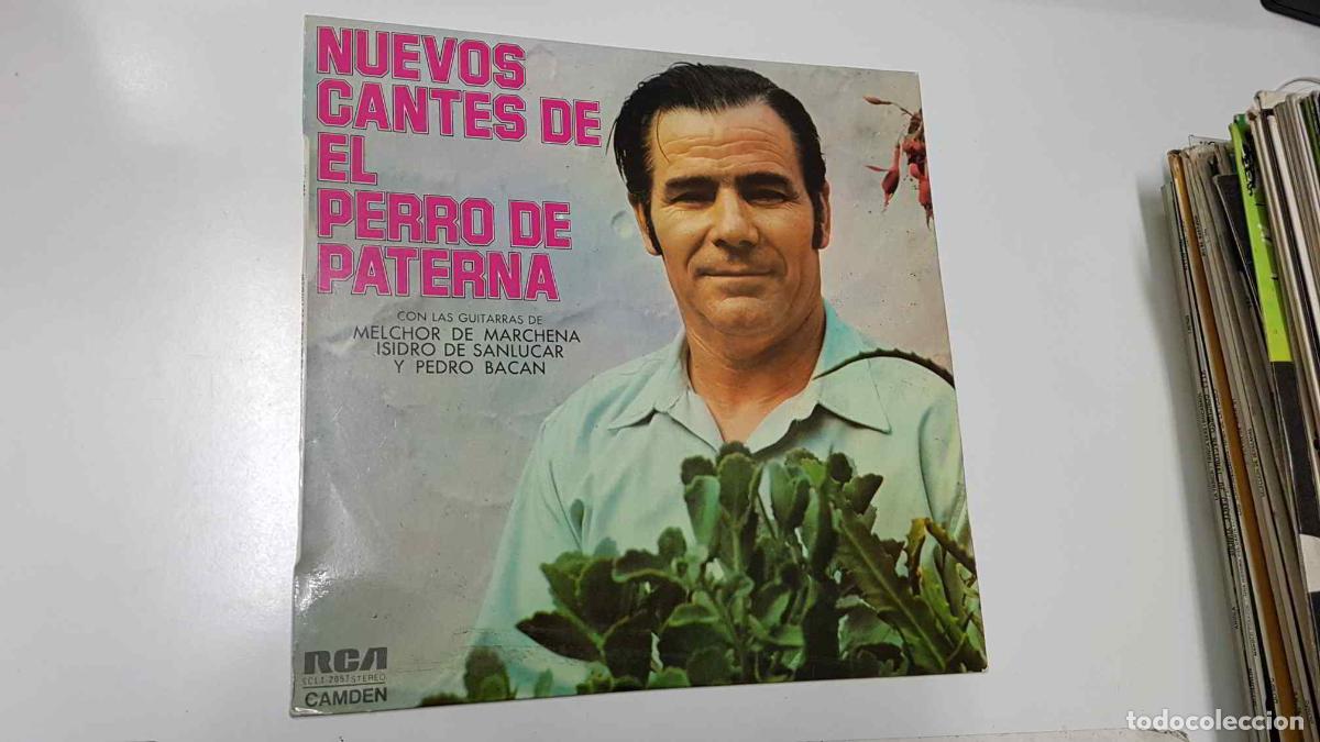 Livros antigos: LP: Nuevos Cantes de El perro de Paterna con las guitarras de Melchor Marchena, Isidro de Sanlucar y