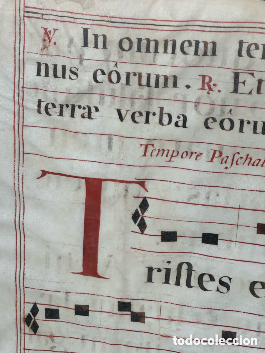 Libros antiguos: Hoja de cantoral. Antifonario. Canto gregoriano. Pergamino