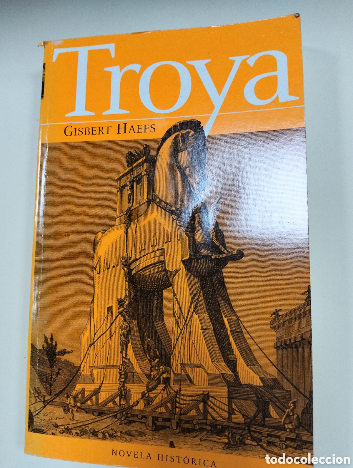 Libros antiguos: TROYA GISBERT HAEFS...