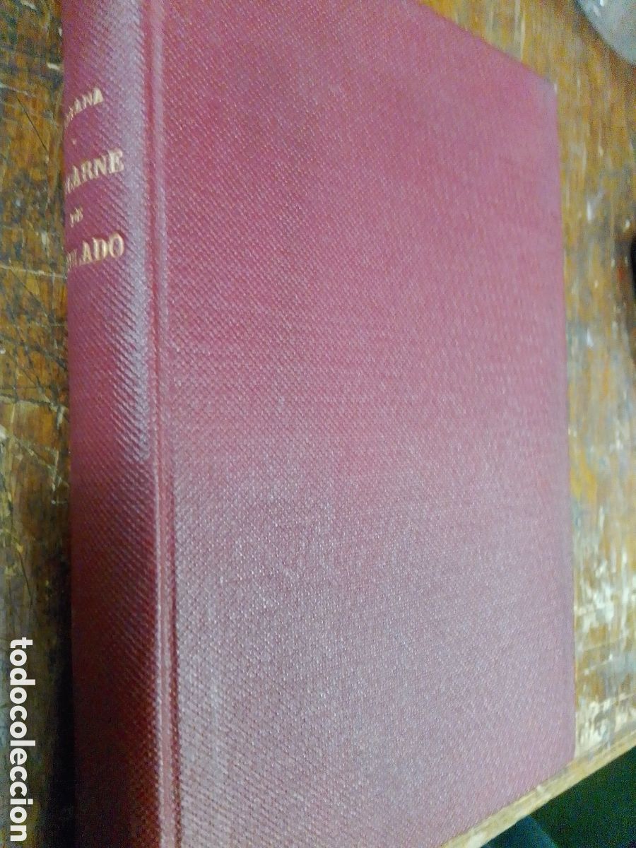 Libros antiguos: LA CARNE DE TABLADO. RETANA, ALVARO. BIBLIOTECA HISPANIA. 1918