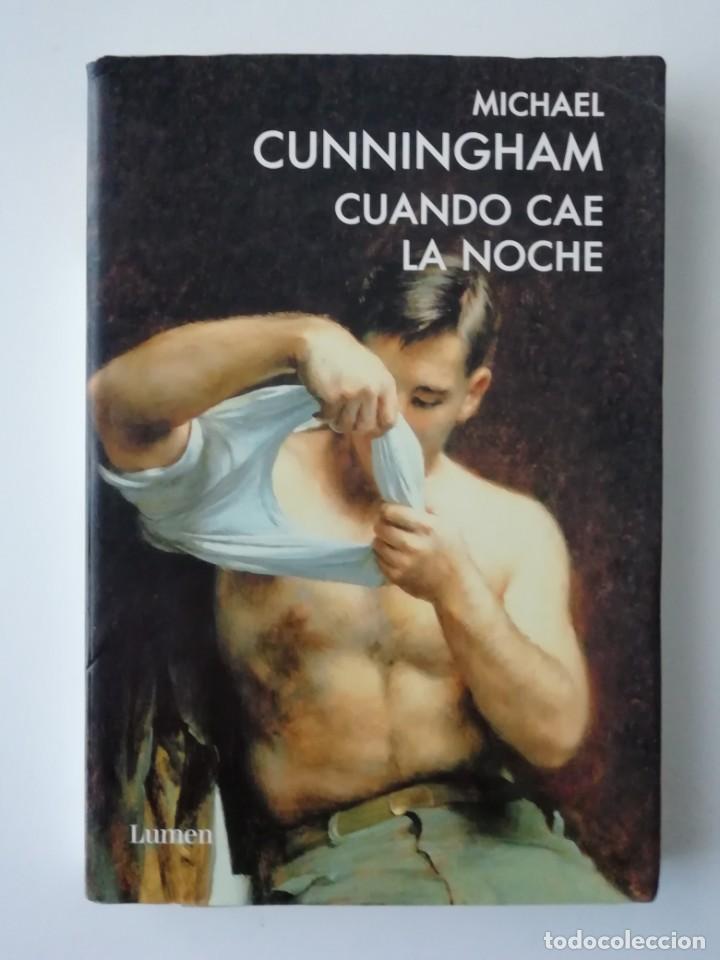 Libros antiguos: CUANDO CAE LA NOCHE -MICHAEL CUNNINGHAM - ED. LUMEN 2011 - Foto 1