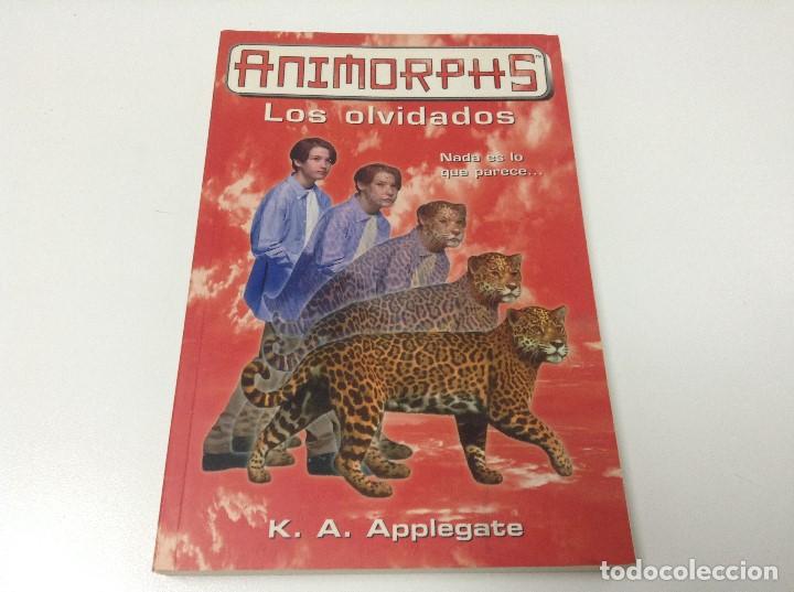 Libros antiguos: ANIMORPHS N&ordm;11 LOS OLVIDADOS - Foto 1