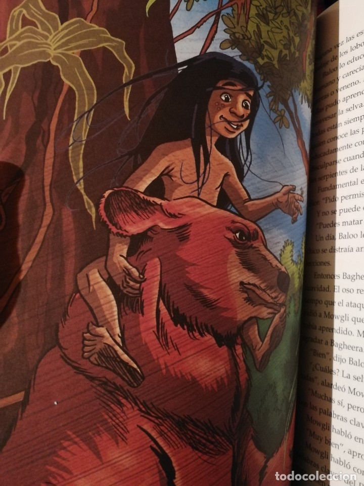 Libros antiguos: EL LIBRO DE LA SELVA - RUDYARD KIPLING - EDIC. ABREVIADA E ILUSTRADA - Foto 5