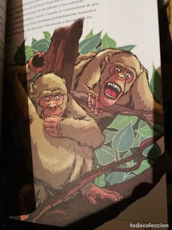 Libros antiguos: EL LIBRO DE LA SELVA - RUDYARD KIPLING - EDIC. ABREVIADA E ILUSTRADA - Foto 6