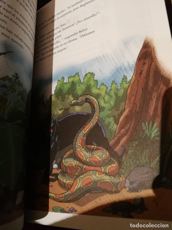 Libros antiguos: EL LIBRO DE LA SELVA - RUDYARD KIPLING - EDIC. ABREVIADA E ILUSTRADA - Foto 8