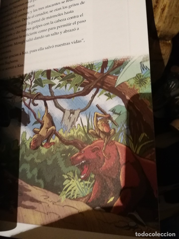 Libros antiguos: EL LIBRO DE LA SELVA - RUDYARD KIPLING - EDIC. ABREVIADA E ILUSTRADA - Foto 9
